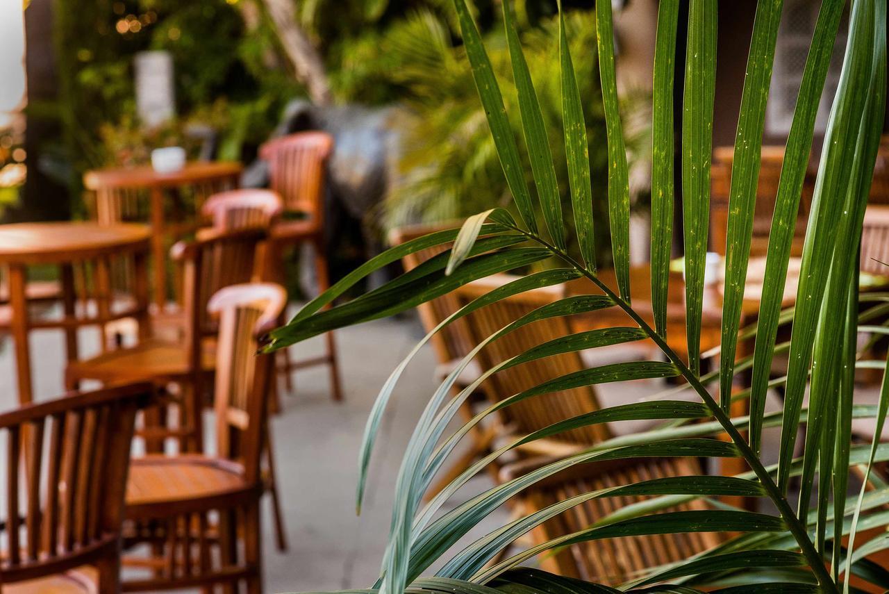 Chillout Hotel Tres Mares طريفة المظهر الخارجي الصورة